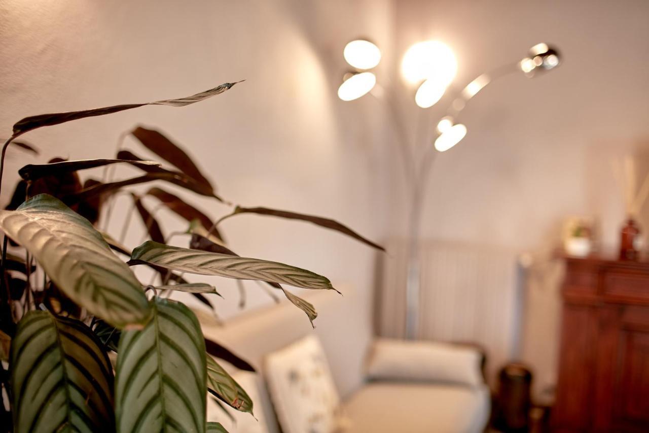 Villetta Con Giardino ⭑⭑⭑⭑⭑ - Wifi, Dogs Allowed Biella Eksteriør billede